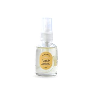 Mini Home Spray  