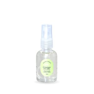 Mini Home Spray 