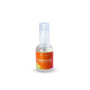 Mini Home Spray