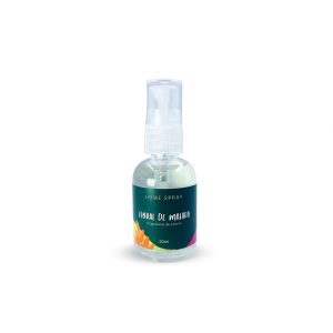 Mini Home Spray 
