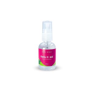 Mini Home Spray 