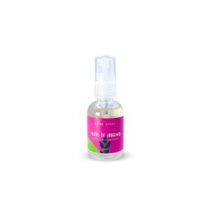 Mini Home Spray 